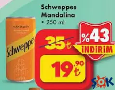 SCHWEPPES MANDALİNA 250 ML fiyat ve kampanya bilgisi